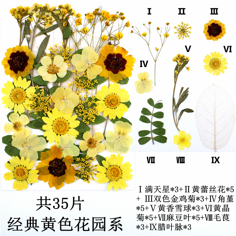 Paquete de material de estampado de flores secas Paquete de combinación de flores presionadas Flor real Hoja de espécimen pegatinas