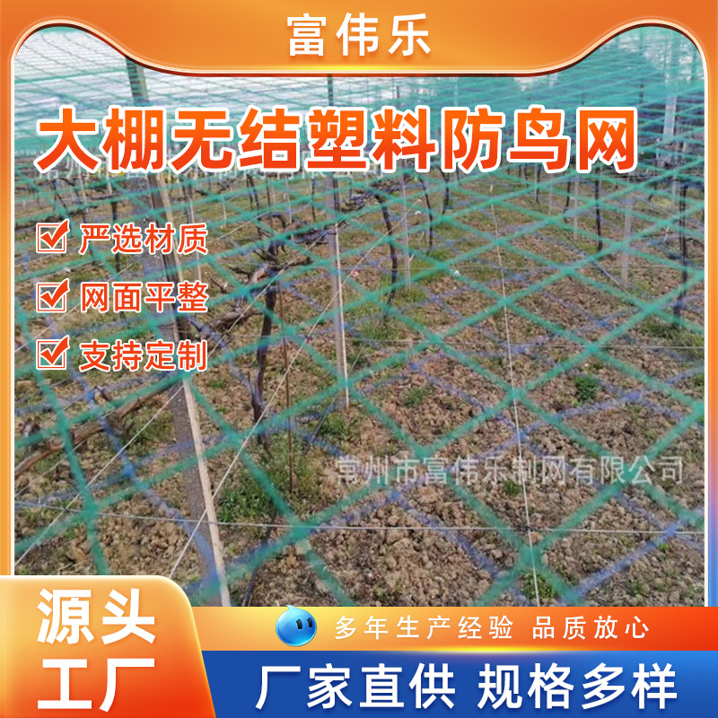 果园果树葡萄防鸟网 聚乙烯无结防鸟网 大棚无结塑料防鸟网爬藤网