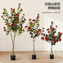 ���R�d�羳����ɽ�軨��Gֲ���ԼҾӿ͏d�����쾰����b�ֲ��