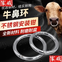 牛鼻环塑料牛鼻圈加厚大号牛鼻牵引环牵引扣不锈钢安装钳牛鼻栓