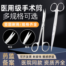 �t�����g���Ӻ��P�ֱ�^���^���g���M�����𾀼��ۿ�����oʿ��