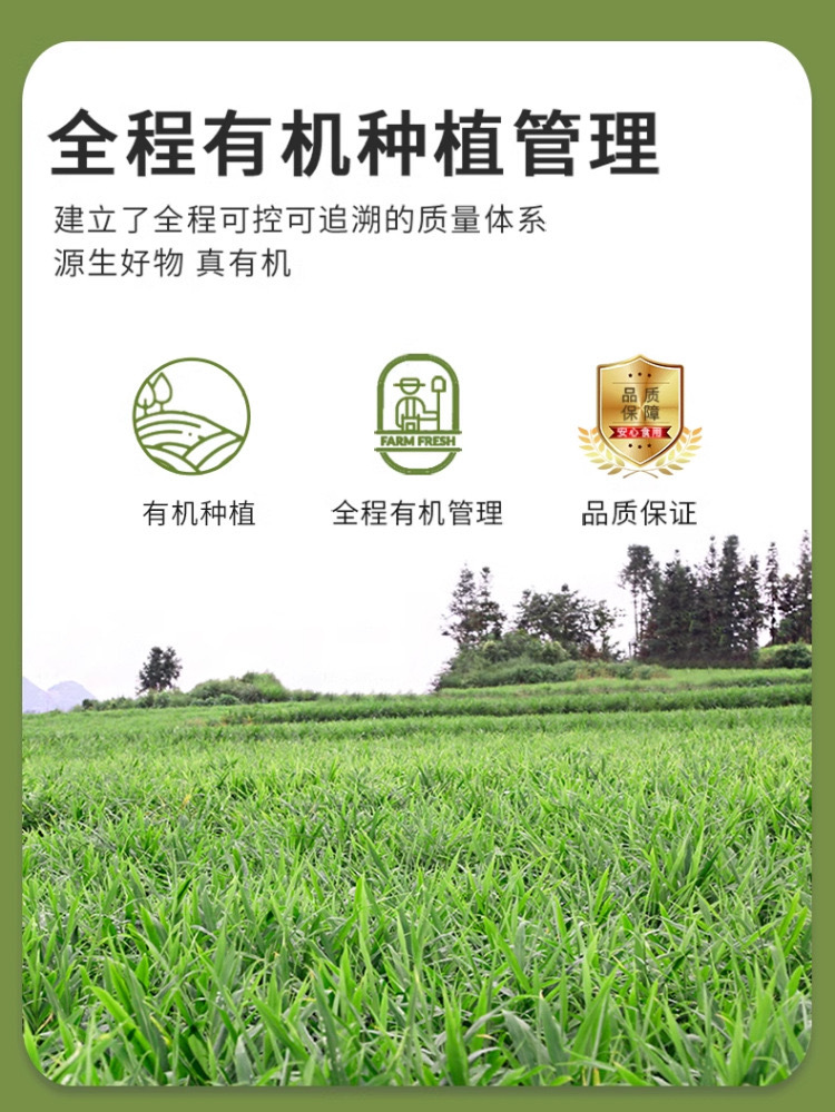 Organic Yunnan Small Yellow Ginger Powder Dried Ginger Drink Seasoning 250g specifications