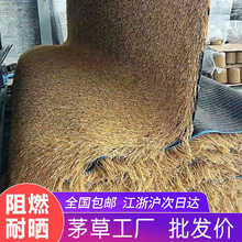 �G������é���ݵ�̺ʽé���r�Ҙ���ͤ�b�����ȼ�S��ֱ�������