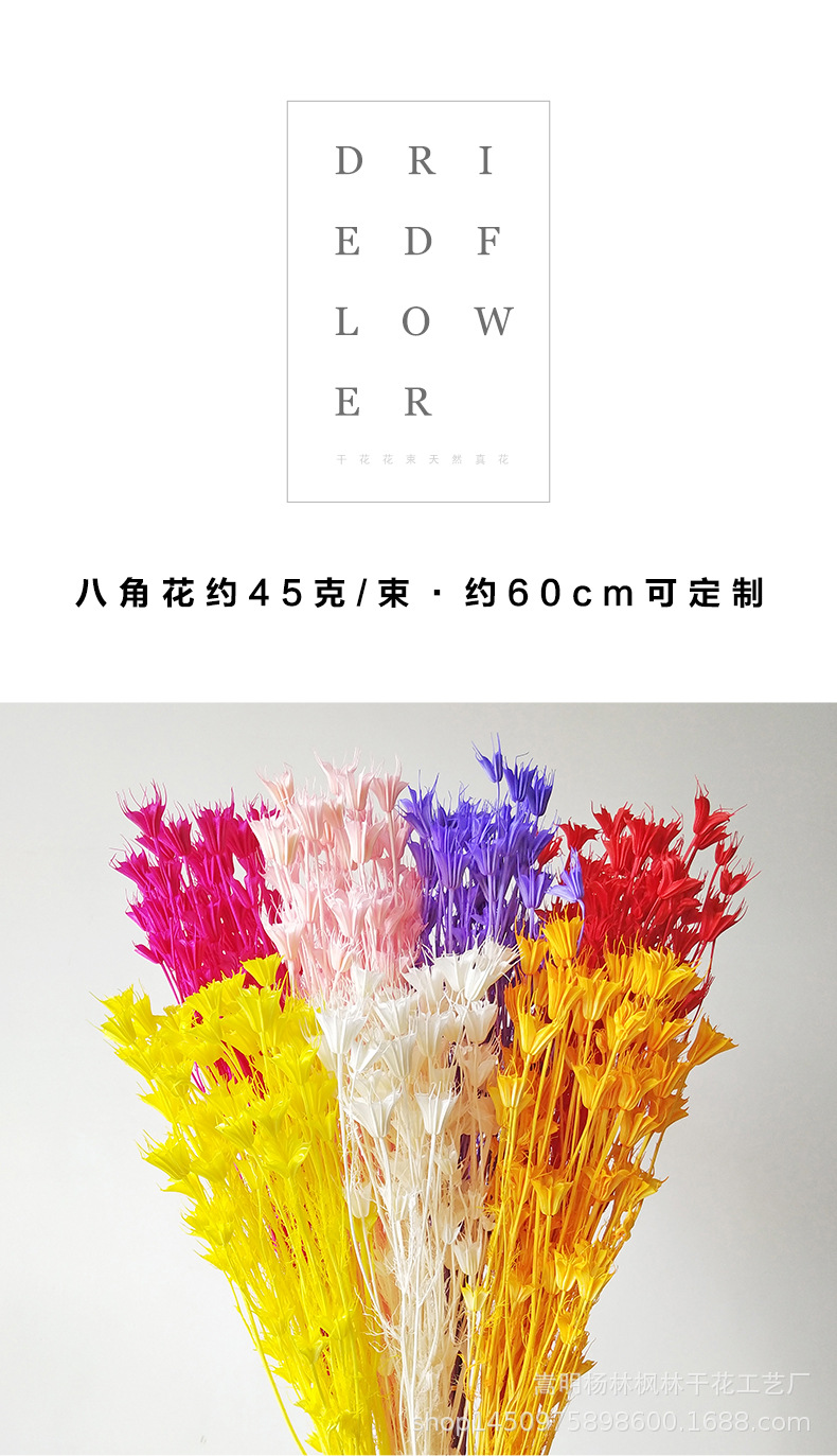 八角花_01.jpg