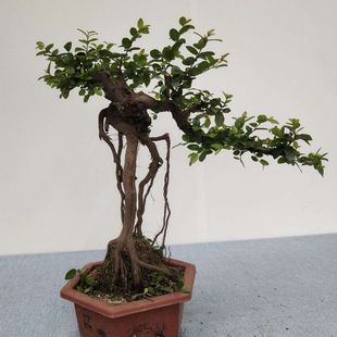�k����ȸ÷�쾰��}1�̨ͥԺ�Ϙ��_���Y���辰