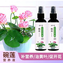 碗莲专用营养液荷花睡莲养花肥料水培观赏花卉绿色植物生根专用肥