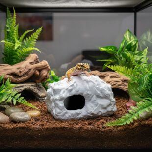 3D��ӡ�´���Ȼ�~�r�،m���Ќ������݆ο�ͨ���h���o�����~��