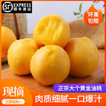 �oë���|���S���������r�Fժ��������۴��Ҵ���ˮ��5����S