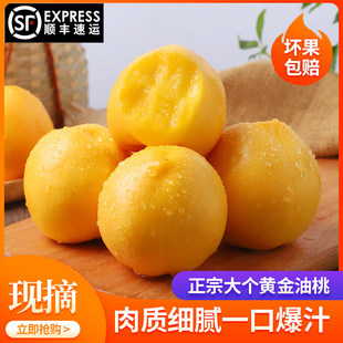 �oë���|���S���������r�Fժ��������۴��Ҵ���ˮ��5����S