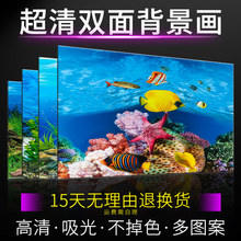 ����ˮ���~���쾰�����N�������ڼ����Nˮ���䱳����3d���w ����