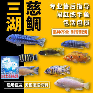 ���������~���ӟᎧ�^�p�~��С�͵�ˮ���B�׻��R��̹��С���~���w