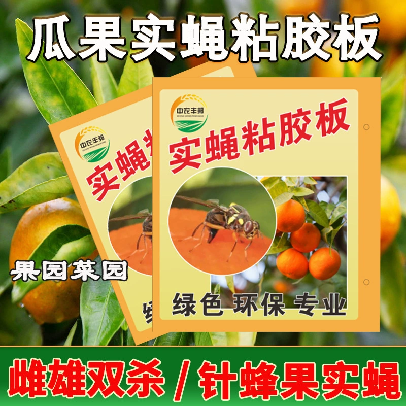 Фрукты муха приманка липкая доска Фруктовая муха доска Оранжевая маленькая фруктовая муха игла пчела цитрусовые большие фруктовые мухи вискозная доска Дыня Фруктовая ловушка