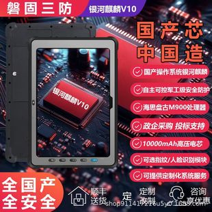 10inch Handheld Portable Rugged Tablet with Domestic Chip, Waterproof and Drop-Resistant, Industrial Military-Grade, Galileo Kirin System