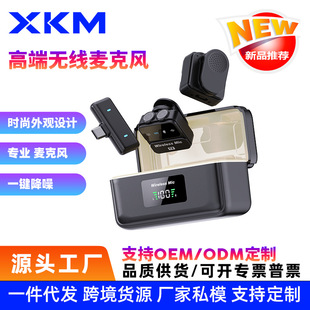Cross-Border Popular Hidden Live Broadcast Wireless Mini Lavalier Microphone Mobile Phone Internet Celebrity with Goods Recording and Noise Reduction Equipment