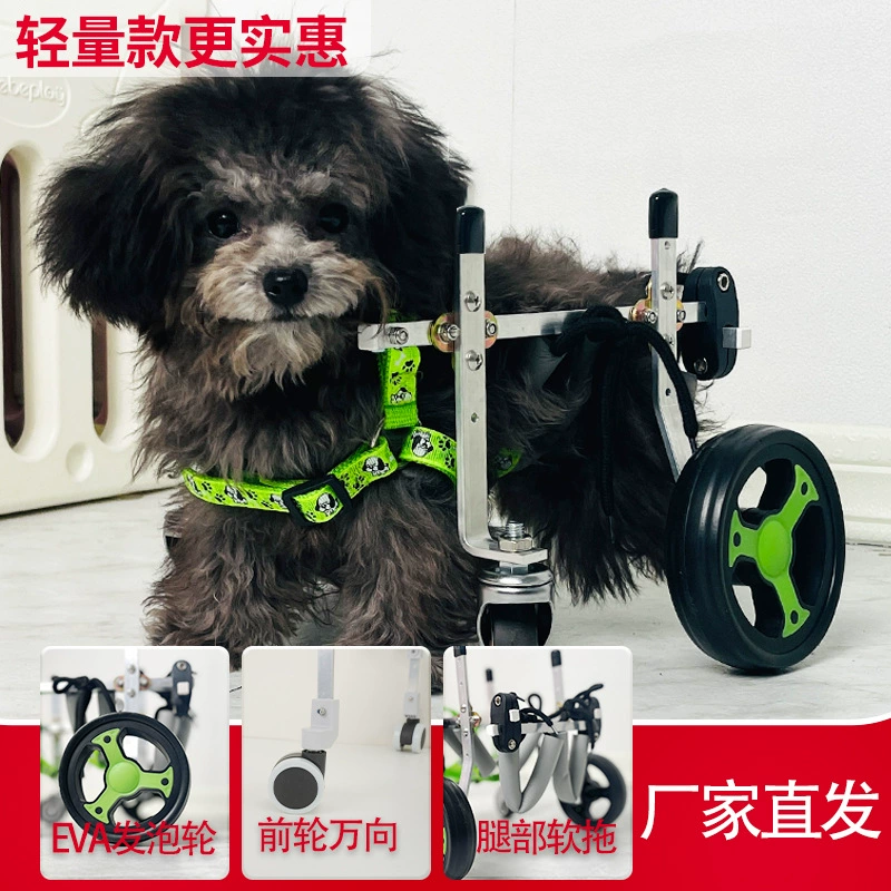 Собака инвалидная коляска задняя нога инвалидная машина пожилая собака скутет домашняя кошка Тедди задняя конечность парализована
