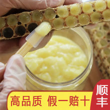 Ʒ|{22^{{2.8%ȻrԮaҰʝ{r