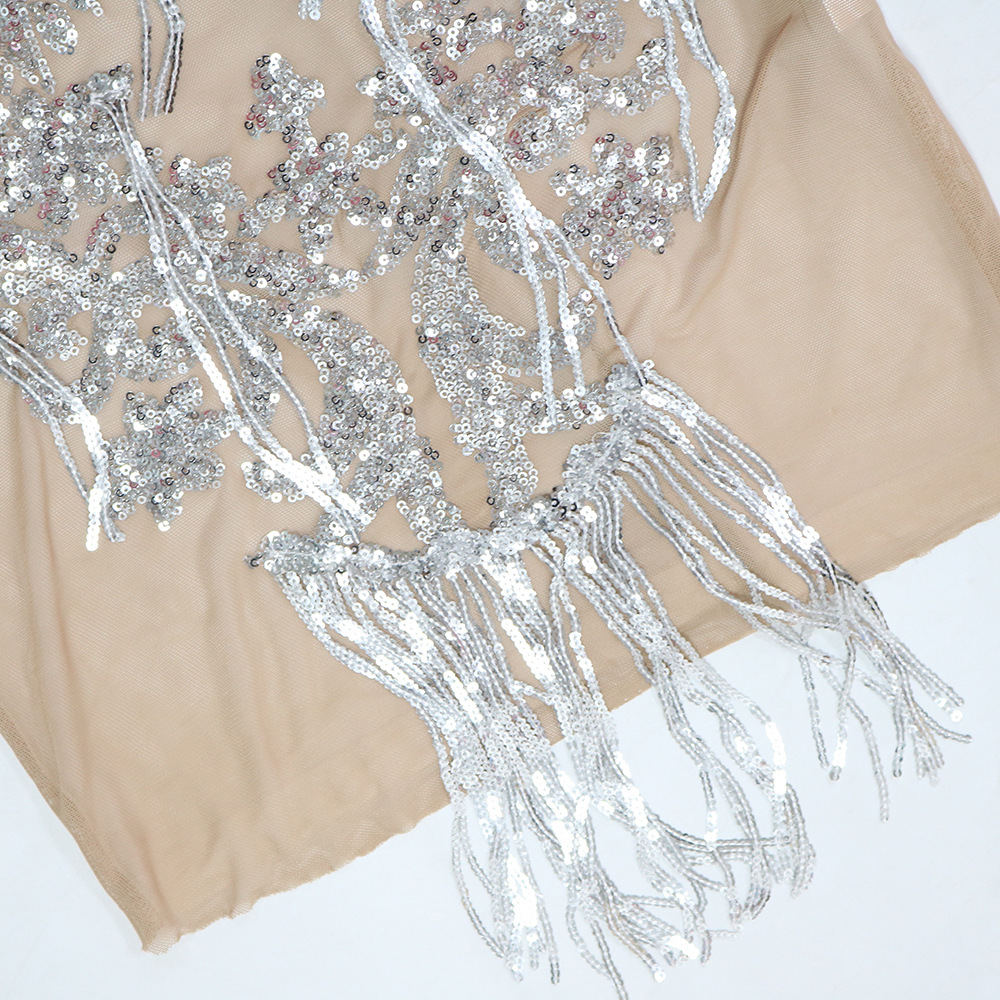 Sequin See through Tassel Dress Women Sexy Sheath Slim Sleeveless Women