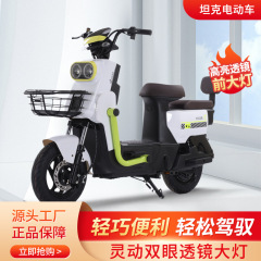 钢铁侠电动自行车二轮代步电瓶车源头工厂电瓶车跨境外贸电动车