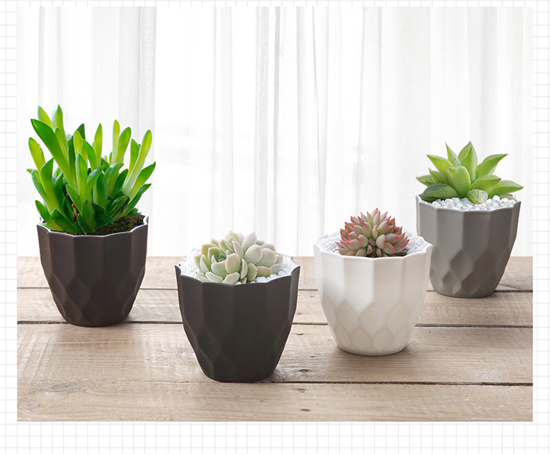 9232706351_118183890