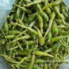 供应霍山米斛鲜条原料霍山石斛鲜条一件代发米斛鲜条枫斗铁皮石斛