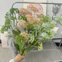 ����ʯ�^�� ���z���ӹ� ���滨�Gֲ���� �Ҿ��b�c�b���