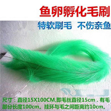 鱼卵孵化 鱼卵孵化品牌 图片 价格 鱼卵孵化批发 阿里巴巴