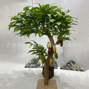 ����ɿɹ���ٌ�ľ�����ˮ��������҃��b[����ɿɹ���ģ��