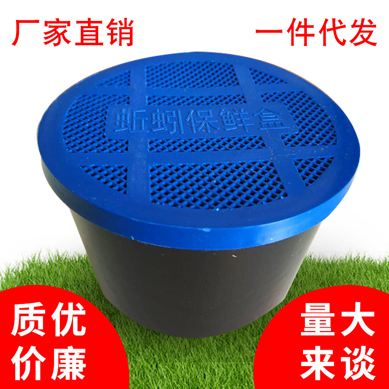 Earthworm Box Plastic Earthworm Fresh Box Permanent Live Either…