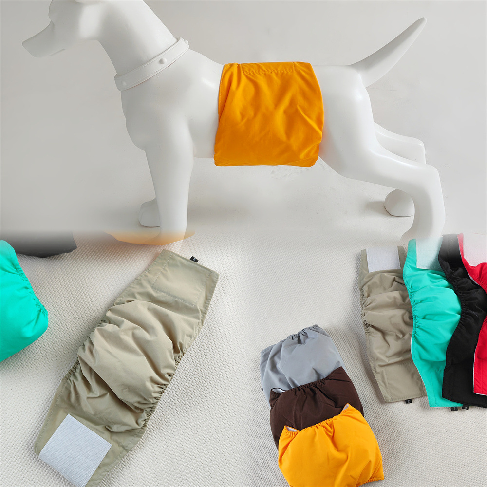 MTXX_PT20240318_105240823_副本.j