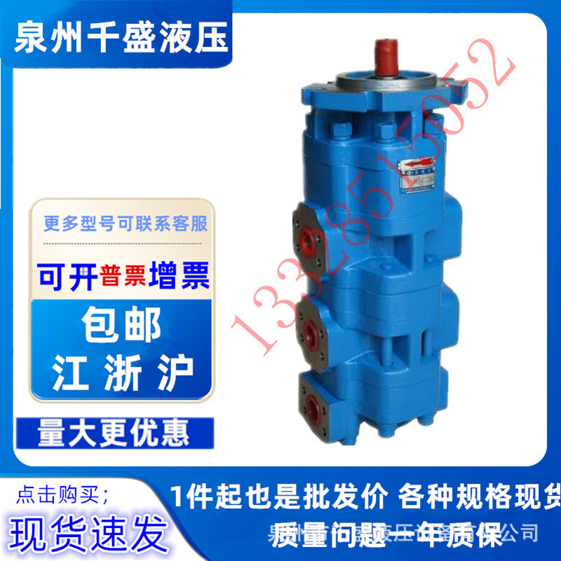 四川长江齿轮泵GPC4a-63-20-20-299R 工程机械液压油泵GPC4a-130R