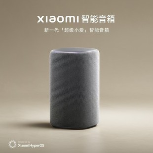 Xiaomi Xiaomi Smart Speaker Pro Super Xiao Ai Ai Large Model Bluetooth Audio Infrared Home