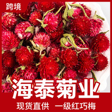 ��̩ɢ�b���l�t��÷�t��÷���Ӽt�oĭ�t��÷�b�Ʒ�S������ă�