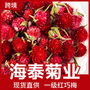 ��̩ɢ�b���l�t��÷�t��÷���Ӽt�oĭ�t��÷�b�Ʒ�S������ă�