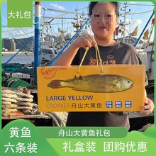 【舟山大黄鱼礼盒装】新鲜深海生态黄花鱼重阳海鲜大礼包海鲜水产