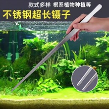 304不锈钢镊子直头弯头水草敷料聂子园艺种植多肉工具多肉种植