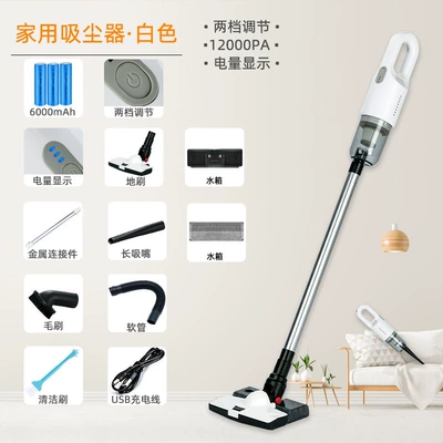 Portable Small Handheld Vacuum Cleaner Tozsoranlar - white-intelligent-111v-mop-version-water-tank