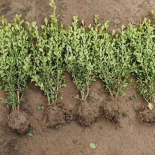 �S�����ë��С�~�S��ͥԺ����ɫ�K��������S����~�S�������