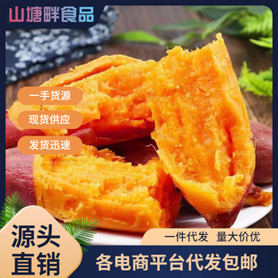 �F�����ϼt�t���S�������t�S�������Ϳ��عϰ���������һ�����l