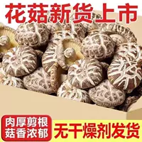 1688 Nấm Hán Trung Trực Tiếp Từ Nguồn Gốc - Thu Hoạch Theo Mùa
