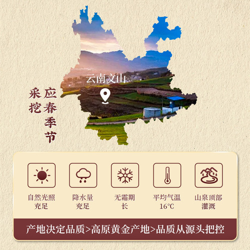 Beijing Tong Ren Tang Panax Notoginseng Powder 55g per piece wholesale OEM/ODM health preservation and nourishing herbal supplement