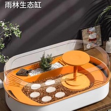 乌龟孵化箱仓套装乌龟蛋可孵化活物适合养的小宠物儿童家养易存活