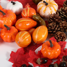 万圣南瓜 万圣南瓜品牌 图片 价格 万圣南瓜批发 阿里巴巴