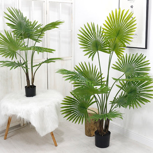 WLGֲ҃ȿ͏dԷȿ辰˽ֲ