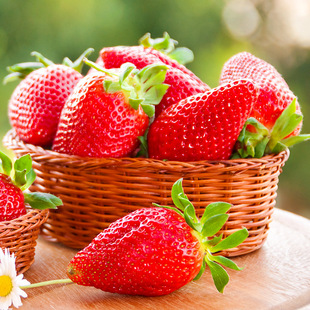 �ļ���ݮ�N���̨�������ͼt��ݮ�N��ˮ���N�ݲʰ������S��ֱ�N