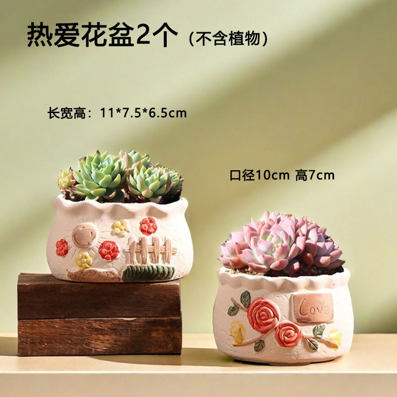 Pintado a mano Sunny Pottery suculento maceta cerámica hogar carne planta pequeña especial cerámica venta directa de fábrica al por mayor