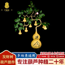 ��Ȼ���J�lؔ����J���w�Ҿ��_�I�լ�[���S�����l��ˇƷ�[��