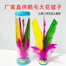 厂家毽子儿童小学生体育运动专用成人健身毽球鹅毛牛筋底花毽静音