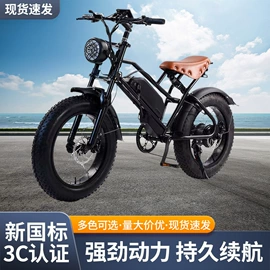 电动自行车;电动三轮车;电动摩托车