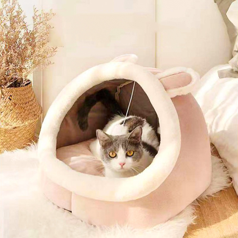 핑크 토끼