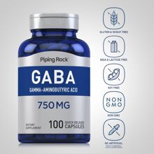 TK���Ͷ����R�d�rƤ���^�羳GABAy-���������z�����Q�羳����